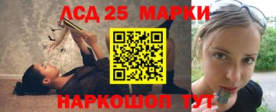 гидра Можга