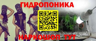 гидра Можга