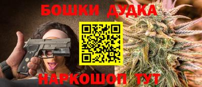 гидра Можга