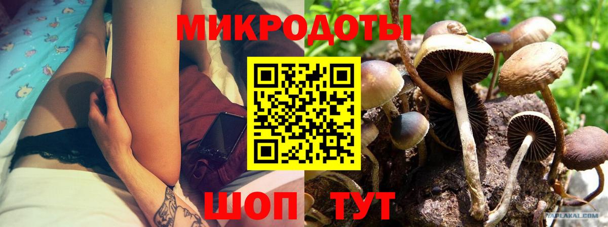 Галлюциногенные грибы Cubensis Урус-Мартан